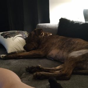 Meet your Posher, Chasea